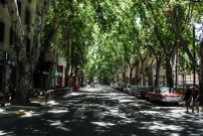 Streets of Mendoza (5)